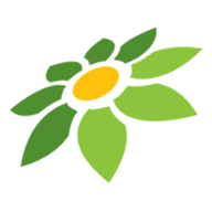 EPIK APK MOD